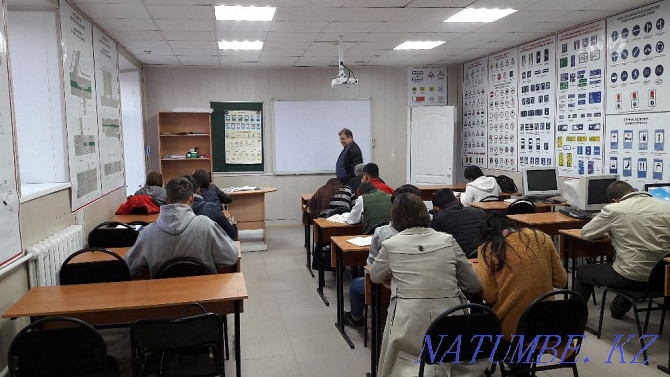 Driving school cat. A B C D E Kokshetau - photo 5