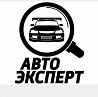 Автоэксперт Туркестан. Профессиональный проверка Россия база Шымкент