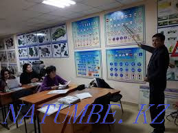 Driving school. Theory and practice. Almaty - photo 4