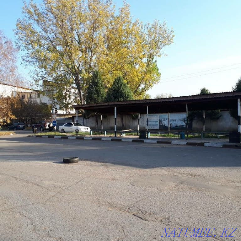 Автодром. жүргізу мектебі  Алматы - изображение 1