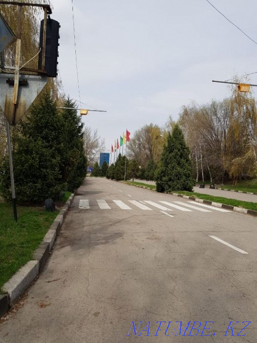 Жүргізуші курстары, жүргізушілік нұсқаушы, автомектеп, автодром, Алматы қ  Алматы - изображение 6