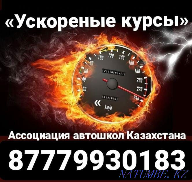 Driving school online Semey - photo 1