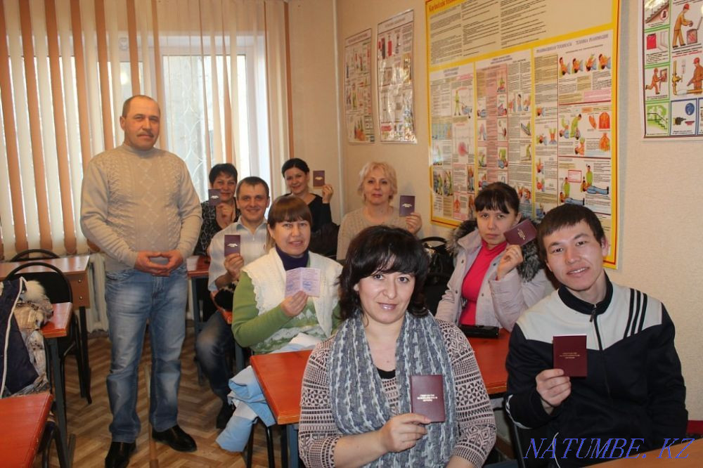 Driving school PROFI, the best teachers, balanced driving masters  - photo 5