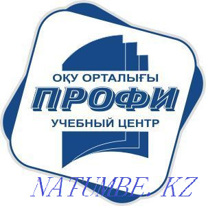 Driving school PROFI, the best teachers, balanced driving masters  - photo 3