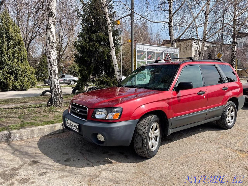 Driving instructor Almaty Almaty - photo 3