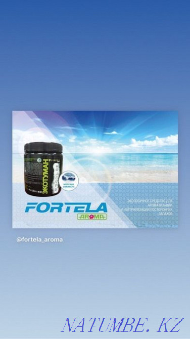 Сухой туман. Удалить запах. Воняет в машине. Запах Алматы - изображение 6