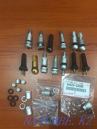 Tire pressure sensors from 3000tg Almaty-Astana! Astana - photo 5