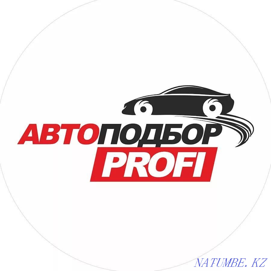 Проверка авто 7000 т. Автоподбор Компьютерная диагностика толщиномер. Астана - изображение 1
