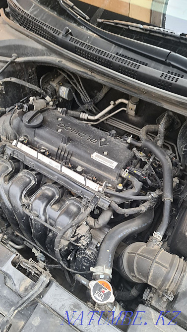 Auto-selection check auto computer diagnostics thickness gauge smoke generator Almaty - photo 6