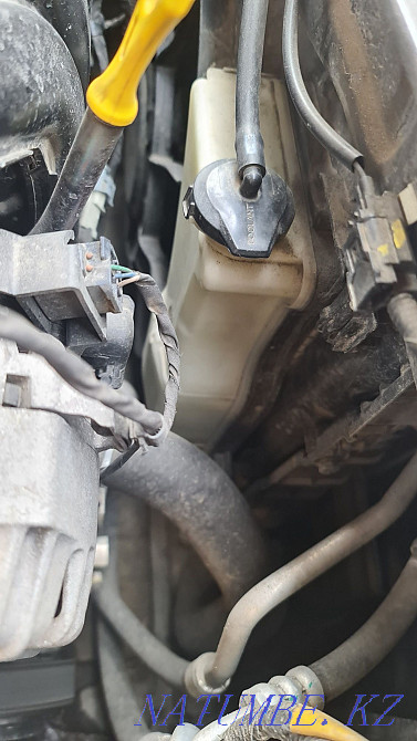 Auto-selection check auto computer diagnostics thickness gauge smoke generator Almaty - photo 4