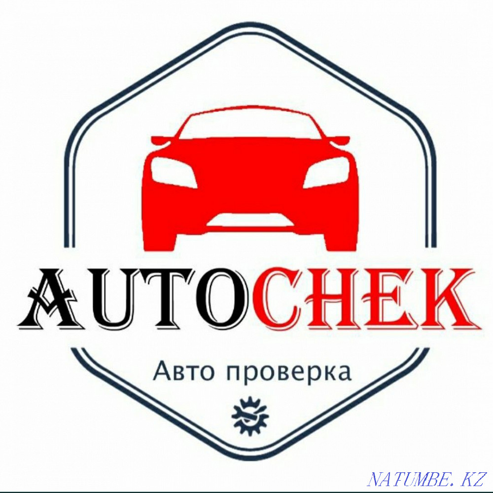 Computer diagnostics of trucks and cars Oral - photo 6