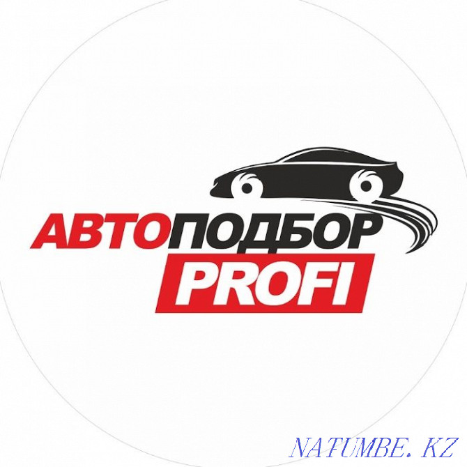 Car check 7000 t. Auto-selection Computer diagnostics thickness gauge Astana - photo 1