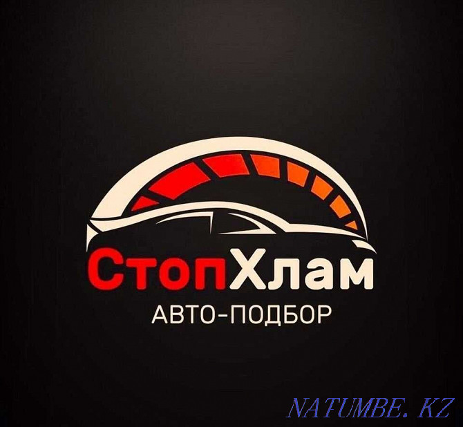 Auto selection of Kyzylorda. Exit car check. Auto search. Kyzylorda - photo 1