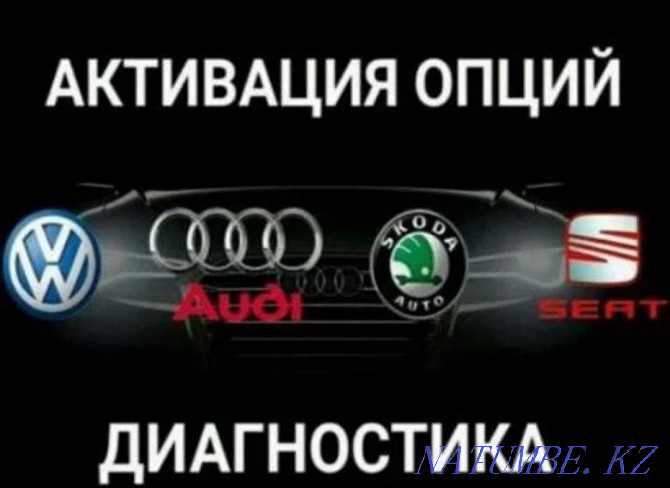 Computer diagnostics of a car. Audi Volkswagen Skoda Porsche Astana - photo 6