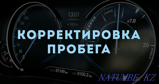 Computer diagnostics of a car. Audi Volkswagen Skoda Porsche Astana - photo 4