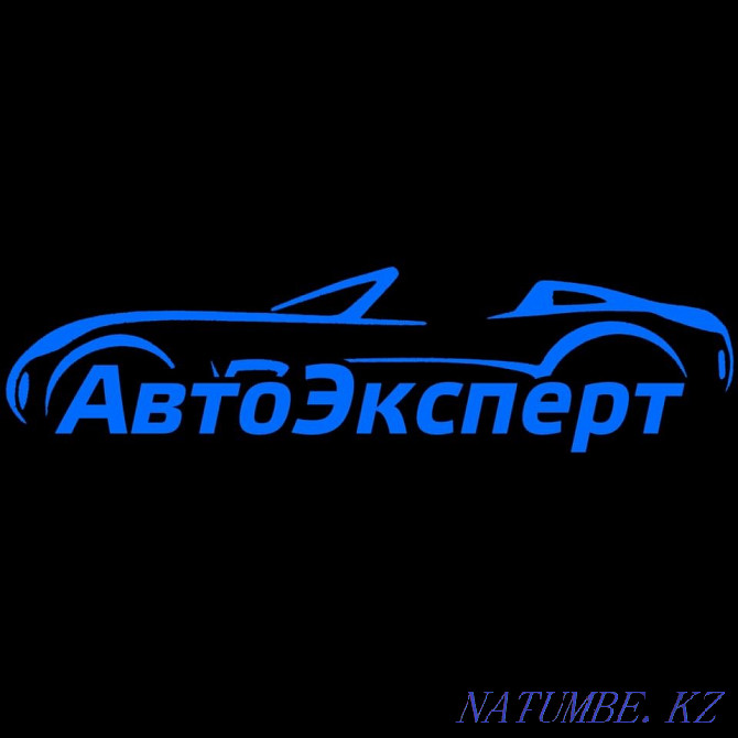 Auto selection, auto expert, auto inspection, thickness gauge, diagnostics Karagandy - photo 1