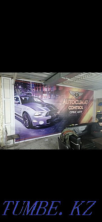 Refueling. Repair of car air conditioners. Auto Air Conditioning Compressor Astana - photo 4