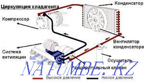 Заправка, ремонт кондиционера авто Астана - изображение 3