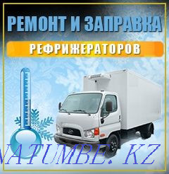 Repair and refueling of refrigerators Балыкши - photo 1