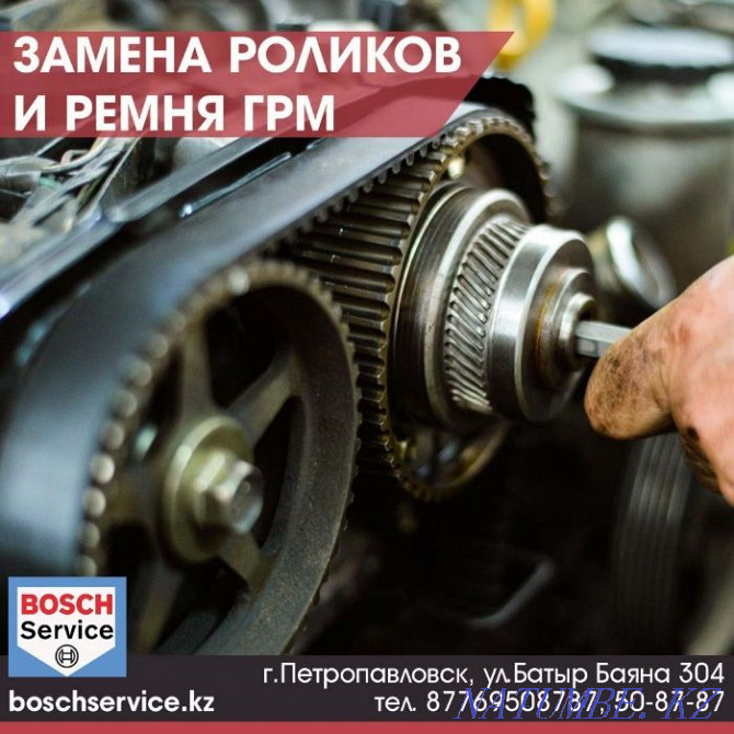 Professional Timing Belt (Chain) Replacement Petropavlovsk - photo 1
