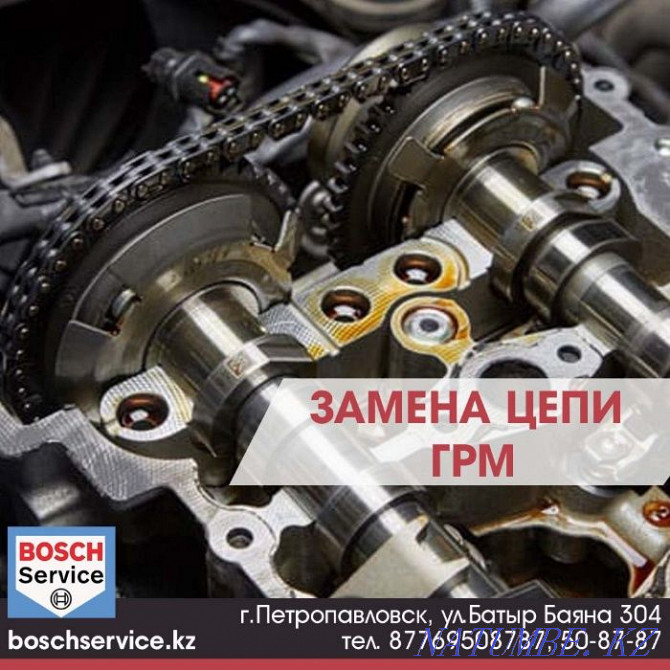 Professional Timing Belt (Chain) Replacement Petropavlovsk - photo 2