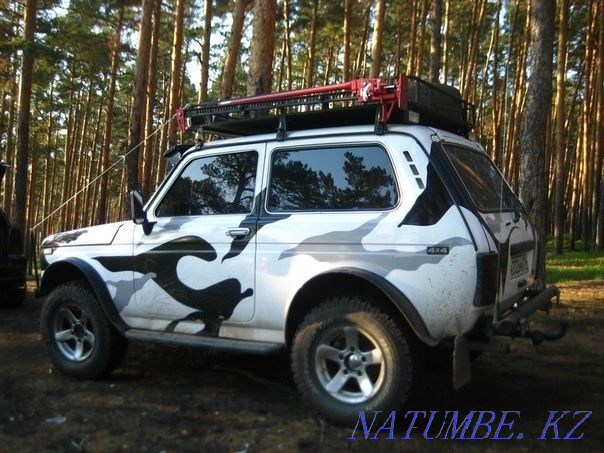 Бояуды түзету  Ақтөбе  - изображение 5