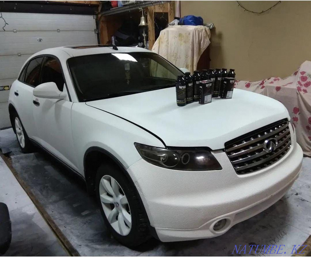 Car painting. Raptor painting. Karagandy - photo 1