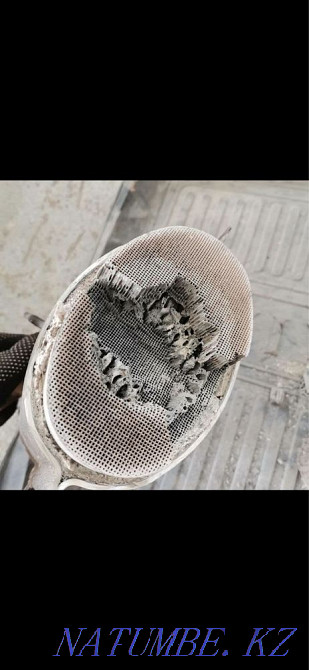 Catalyst ?abyldaimyz jo?ary ba?amen Oral - photo 6