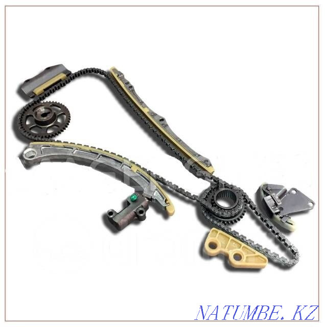 Timing belt replacement. Timing chain replacement. Astana - photo 2