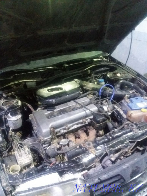 Мотрист Шымкент - изображение 3