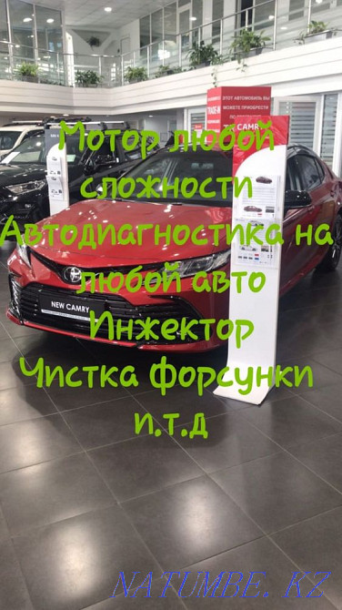 minder Shymkent - photo 1