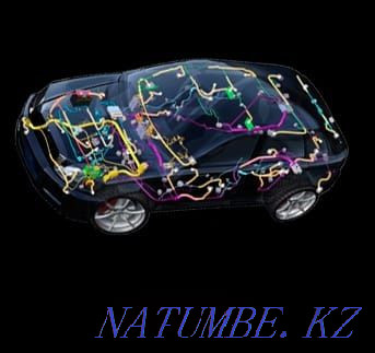 Auto electrician. Computer diagnostics and auto repair Ekibastuz - photo 1