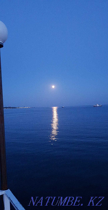 Auto electrician not expensive Almaty - photo 1