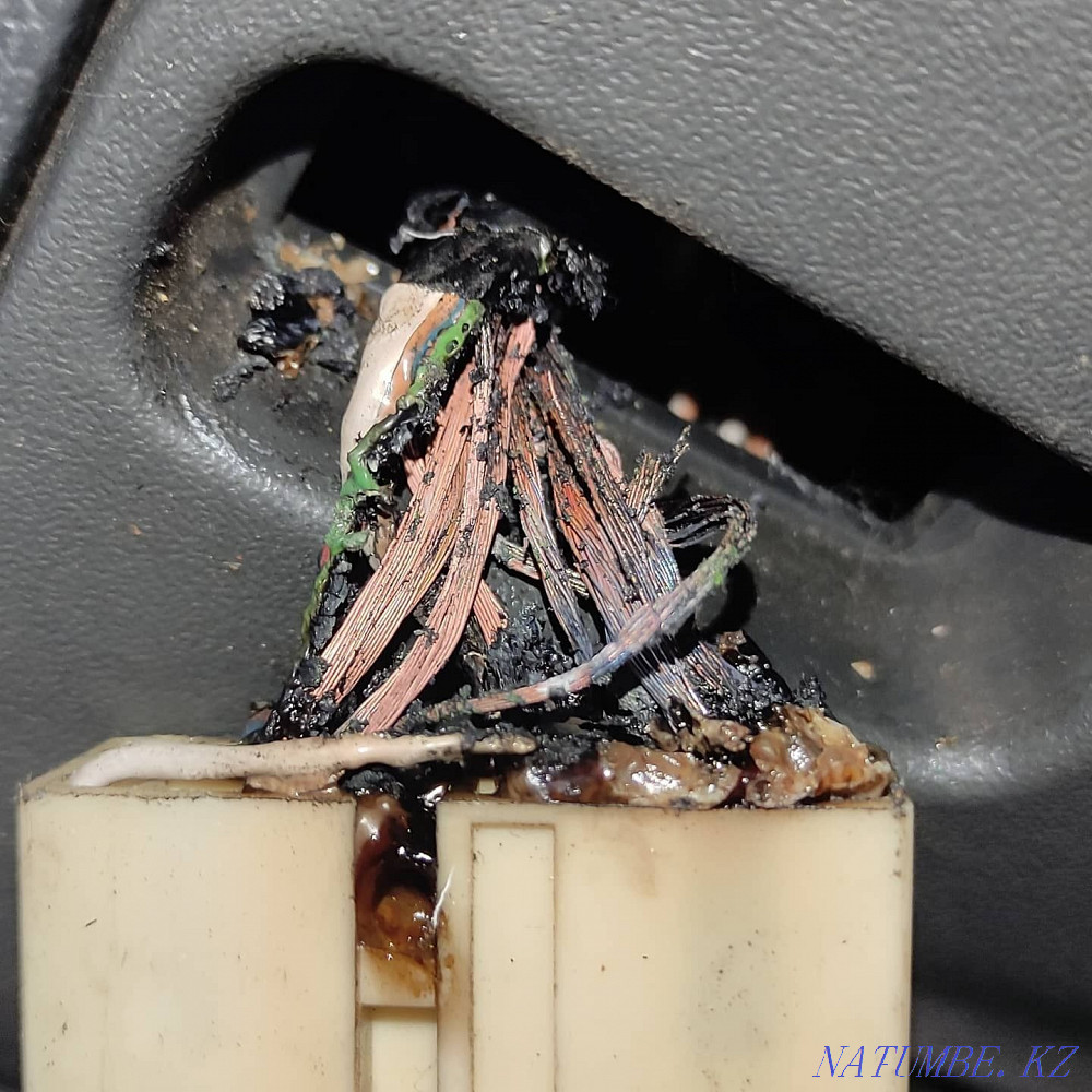 Ремонт генераторов|диагностика|услуги автоэлектрика Щучинск - изображение 6