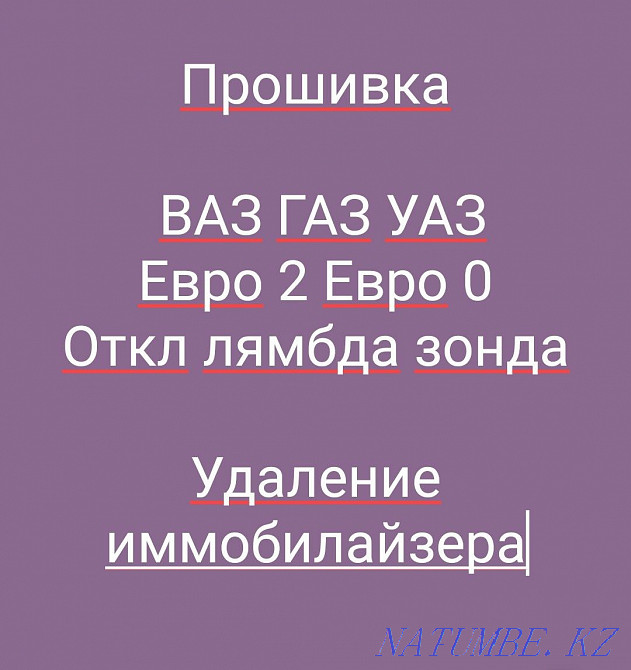 ECU firmware VAZ GAZ UAZ DEU RENAULT LARGUS for Euro 2, Euro 0. Aqtobe - photo 1