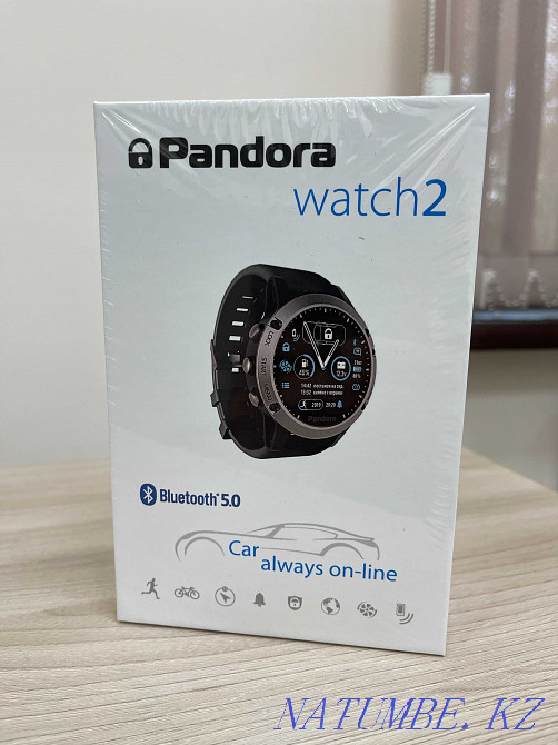 Установочный Центр Авто-Сигнализаций, Pandora-Pandect Алматы - изображение 7