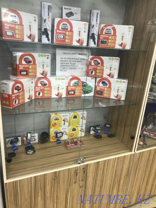 Starline installation and repair Astana - photo 1