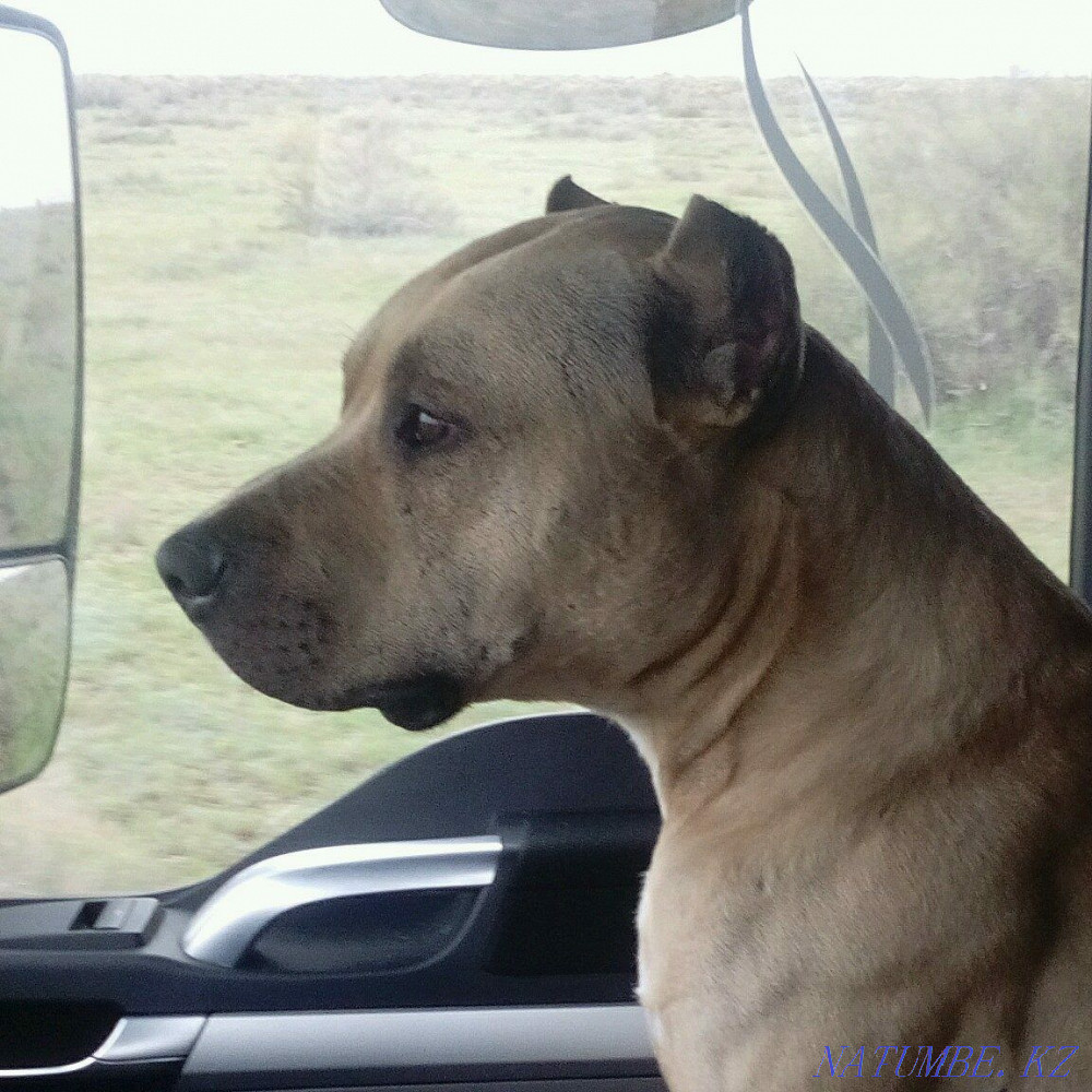 Tow truck around the clock  - photo 2