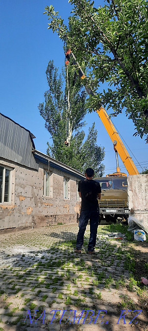 Услуги автокрана 16т,25т  - изображение 2