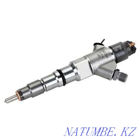 SHACMAN Common Rail Injector Repair Ust-Kamenogorsk - photo 5