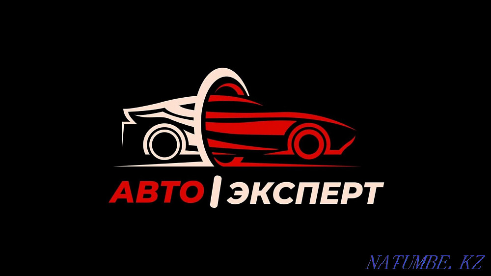 AUTO SELECTION AUTO EXPERT. Computer diagnostics. Thickness gauge. Kokshetau - photo 1