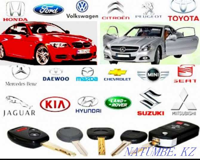 Opening car locks machines Bear cub key production Almaty - photo 5