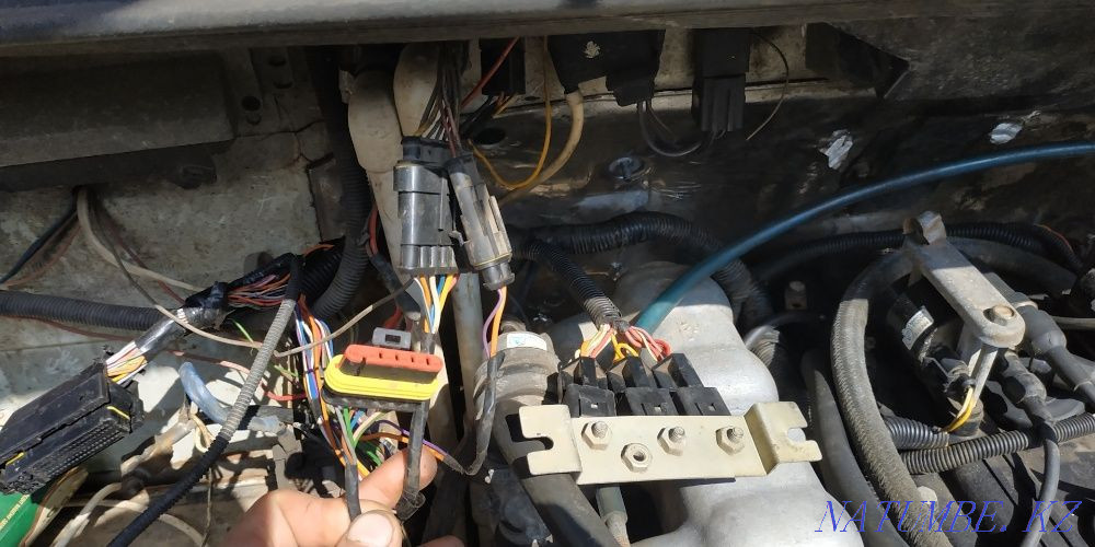 Electric Gazelle , Gazelle Business , Next. Qualitatively Almaty - photo 2