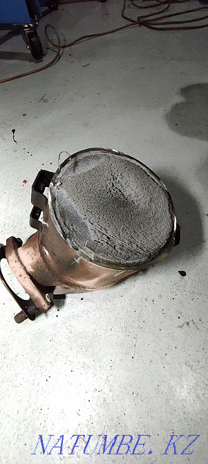 Removing the Catalyst Karagandy - photo 6