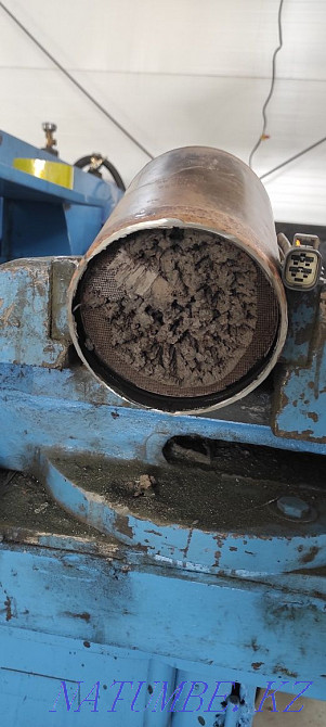 Removing the Catalyst Karagandy - photo 4