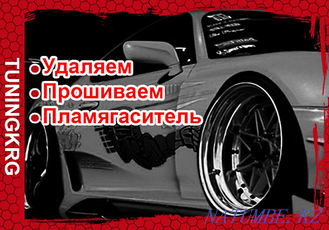 Катализаторларды, бөлшектерді сүзгілерді жою, EGR, чипті баптау.  Қарағанды - изображение 1