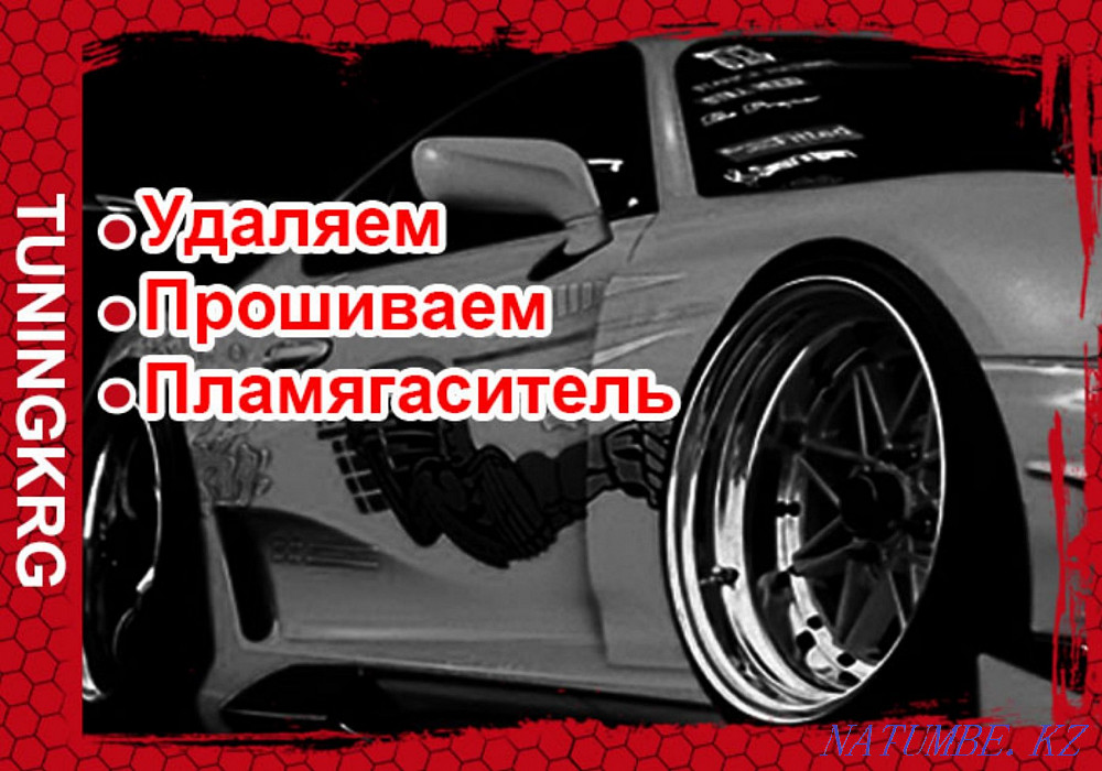 Удаление катализаторов, сажевых фильтров, EGR, чип тюнинг. Караганда - изображение 1