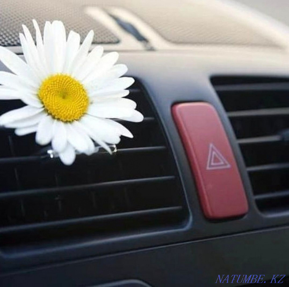 Заправка автокондиционеров, Заправка авто кондиционера Усть-Каменогорск - изображение 1