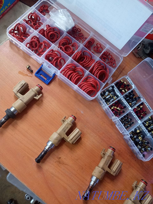 промывка чистка и проверка форсунок на стенде, фирменные жидкости Петропавловск - изображение 7