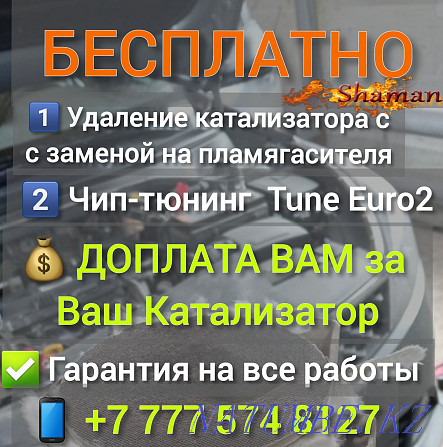 чип тюнинг удаление катализатора Евро2 Kia Hyundai Toyota Lexus Петропавловск - изображение 2